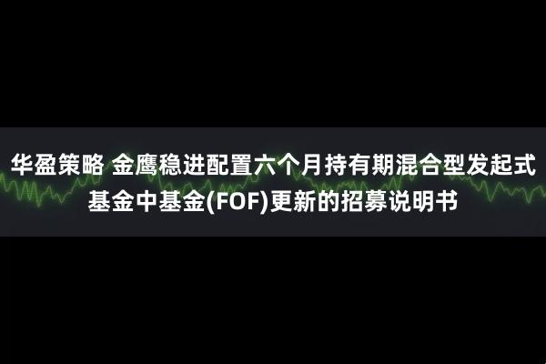 华盈策略 金鹰稳进配置六个月持有期混合型发起式基金中基金(FOF)更新的招募说明书