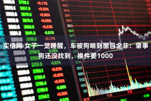 实倍网 女子一觉睡醒，车被狗啃到面目全非：肇事狗还没找到，换件要1000