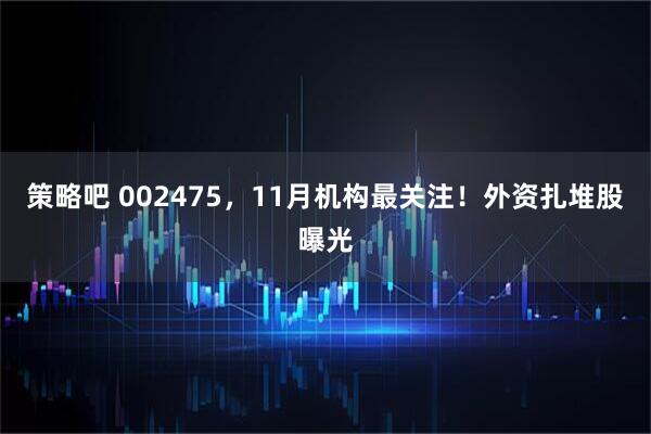 策略吧 002475，11月机构最关注！外资扎堆股曝光
