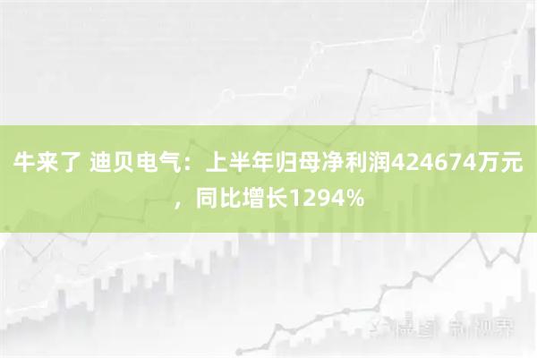 牛来了 迪贝电气：上半年归母净利润424674万元，同比增长1294%